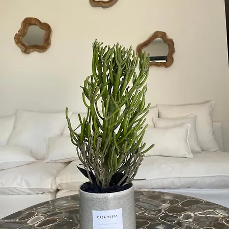 Aparthotel Casaceccu Suite Vespa Monticello